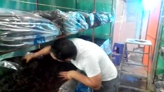 آموزش پرورش قارچ زیر نظر مهندس عبدالحسینی