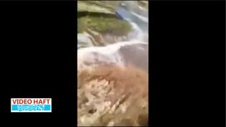 رودی از نوشابه