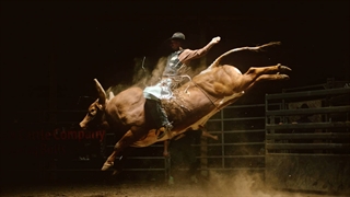 بی وزنی : تصاویر بی نظیری از گاوبازی به صورت آهسته