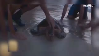 نجات حیوانات توسط انسان