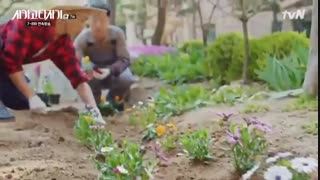 قسمت 7 سریال کره ای ماشین تحریر شیکاگو - Chicago Typewriter