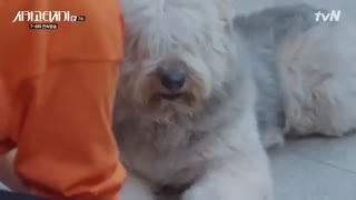 قسمت 7 سریال کره ای تحریر شیکاگو – Chicago Typewriter