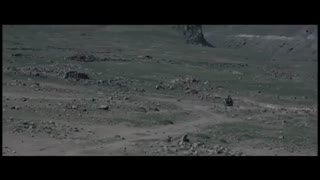 فیلم سینمایی  اینجا کسی  نمی میرد