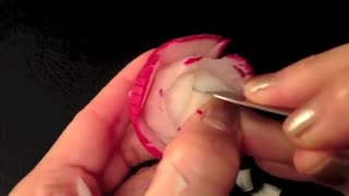 آموزش میوه آرایی - طرح گل با تربچه