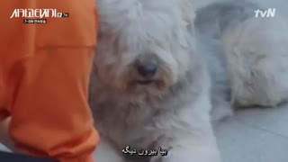 قسمت هفتم سریال ماشین تحریر  شیکاگو2017(Chicago Typewriter)با زیرنویس فارسی چسبیده