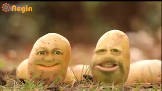 دفن سیب زمینی ها در دولت امید و تدبیر- حسن فریدون (روحانی)