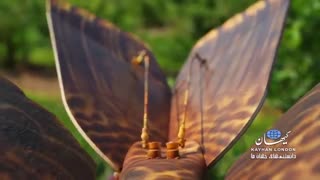 پهپادها را فراموش کنید، پرندگان مصنوعی در راهند !