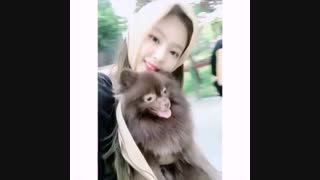 آپدیت اینستاگرام بلک پینک