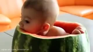 مدل جدید خوردن هندوانه