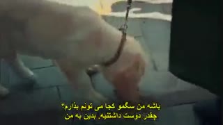 قسمت 10 و 11 سریال ستاره چوپان با زیرنویس چسبیده ( تورک سون مدیا turk7media@ )