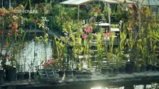 دانلود قسمت 6 سریال ترکی قشر مرفه Gheshre Moraffah - دوبله و فارسی