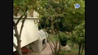 سریال بسیار زیبای ترکیه ای حلالم کن قسمت19