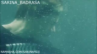 MIX__BTS-BLOODtSWEAT & TEARS (ساخت خودم)(تقدیمی)