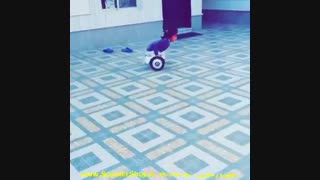 اسمارت بالانس ویل