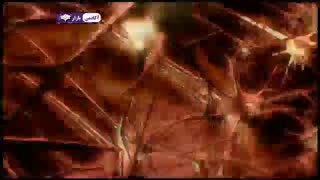 بدن انسان در تنگنا