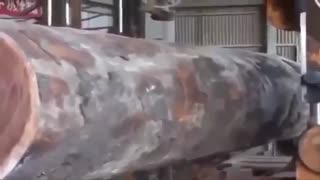 تکه تکه کردن چوب درختان غول پیکر با آخرین تکنولوژی های مدرن برش کاری