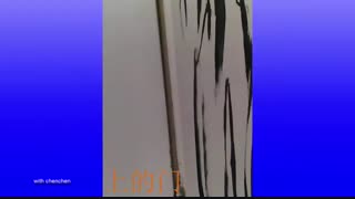 昭片