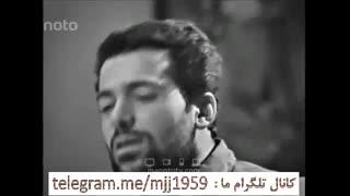 فرهاد و گربه های سیاه (بلک کتس)