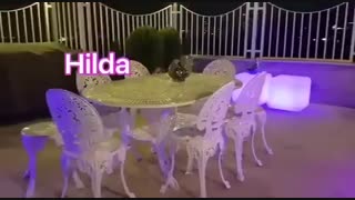 میز و نیمکت و نشیمن نوری
