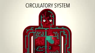 اطلاعات جالب و کاربردی در مورد فشار خون و بالا رفتن فشار خون