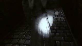 Stone