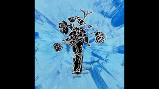 Ed sheeran - Supermarket flowers