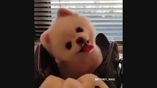 I got a ponytail (گوگولی!)