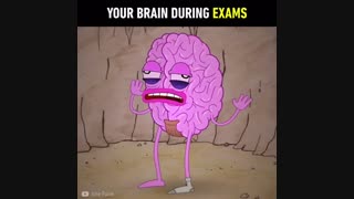 مغز شما در طی امتحانات ^~^