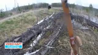 حمله خرس به یک شکارچی