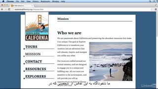 #14 شناخت انواع محتوا