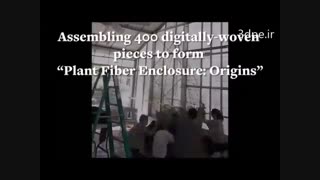 پرینت سه بعدی بزرگترین لانه طبیعی پرنده در جهان