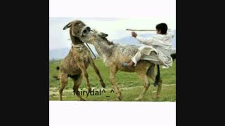 تصویر لو رفته از سه نفر!!( یه سر همه رو رد میزنم^_^ بیاین توضیحات!)