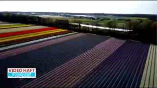 به بهشت خوش آمدید!