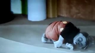 موزیک ویدیو موش وگربه