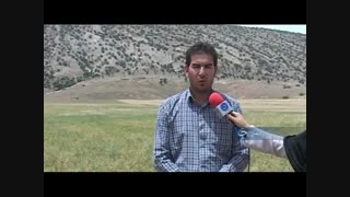 برداشت نخود در لرستان