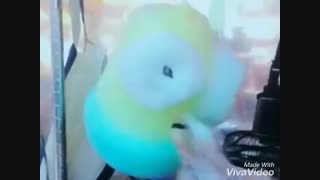 میاین بازی.درباره کانالم نظربدید.جرعت حقیقت.امتحانم شعرهای یک بیتی