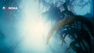 سکانس آغاز خلقت در فیلم درخت زندگی(The Tree of Life,2011)