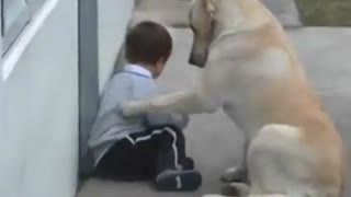 رابطه زیبا یک سگ با کودکی که از بیماری سندرم داون رنج میبره !