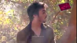 دانلود قسمت 271 سریال زبان عشق دوبله ( قسمت 272 در تلگرام @Tasvirfa )