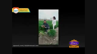 دانلود آهنگ علی قلعه میری به نام پدر(Father)