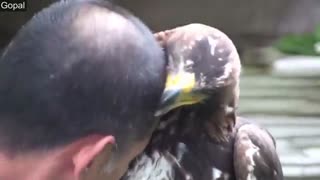 کلیپ زیبا و عاطفی از لحظه بغل کردن حیوانات با انسان ها