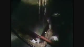 فیلم نارنیا1