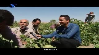 شهرستان تاکستان - قزوین