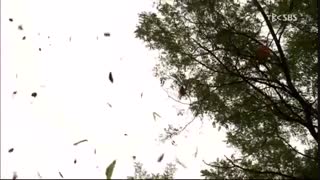 عشقم اهل ستارهاس(قسمت اول)