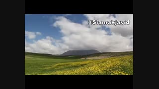 فستیوال گل رز بلغارستان