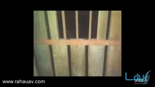 پهپادهای جاسوسی به کمک سربازان در میدان جنگ می آیند!