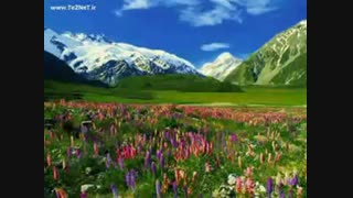 تلاوت قران کریم