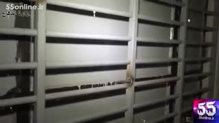 کشف زندان داعش ویژه زنان ایزدی توسط ارتش عراق در موصل