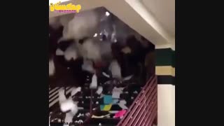 لحظه آخرین امتحان در خارج _ باحاله حتما ببینید