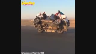این کارشون حماقت محضِ_دیوونن اینا